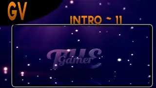 Introduction ~ 11 • | TheGamer | GG Naice