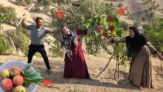 The husband prevents the second wife from picking peaches and supports the first wife, who is ill.