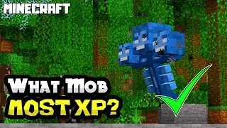 MINECRAFT | What Mob Gives the Most XP?