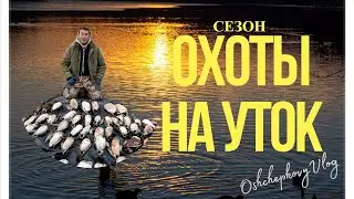 Сааскы булт / Сезон охоты на уток 2023 год. Сунтарский наслег ( местность Сана куол )