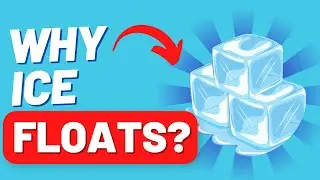 Why does the ice float?