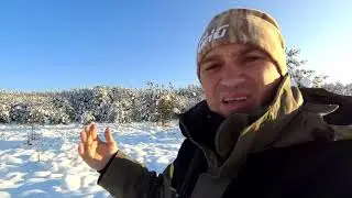 Загонная охота на лося, кабана и косулю 2020! Трофеи добыты!