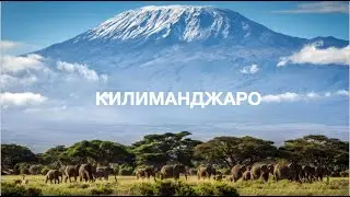 Африка. Килиманджаро