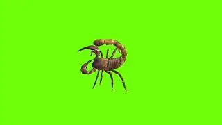 Right hand attacking scorpion green screen।cartoon green screen।green screen।ostad animation