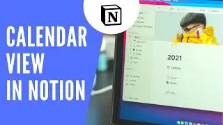 Multiple Calendar in One Calendar in Notion
