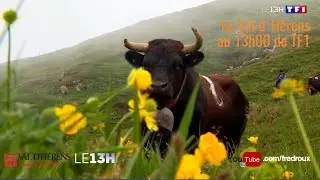 Le Val d'Hérens au 13h00 de TF1