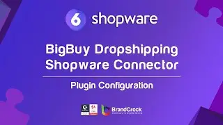 Shopware 6 Plugin : BigBuy Dropshipping Shopware Connector