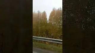 9 октября 2023 г.(4)