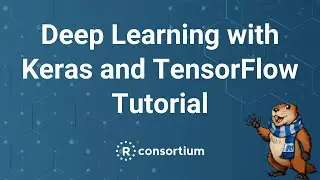 useR! 2020: Deep Learning with Keras and TensorFlow (S. Elsinghorst), tutorial