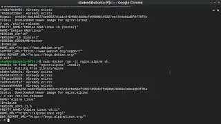 Basic Operations with Alpine Linux