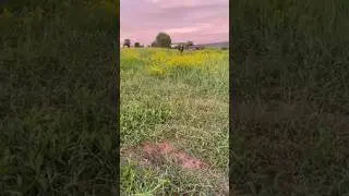 хочеться пива? 🤣