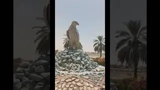 FALCON THE NATIONAL BIRD OF UAE
