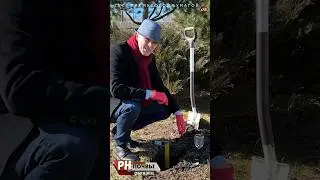 PH почвы лакмус