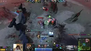 Insan1a meets a Collapse Magnus