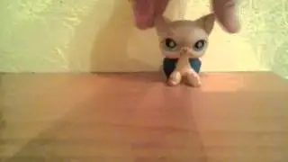 Lps:ВОПРОС ОТВЕТ #1.