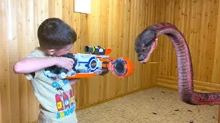 Anaconda invaded the house  Нерф против змеи