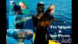 Pescasub: Tra Spigole & San Pietro - Winter memories 15/06/2022
