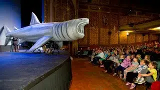 Life-sized Inflatable Basking Shark