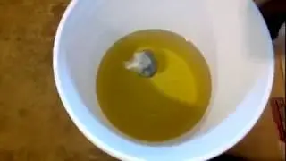 making gin