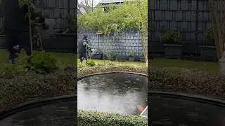 Пруд возле Дома/Всё своими руками/Весна в пути