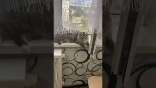 Вечерок ,ужин по простому 😜