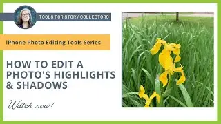 How to Edit Highlights & Shadows