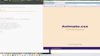 How to add animation using animate css