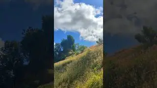 Ada Bukit Indah Di Jogja yang ditinggali Panda ??