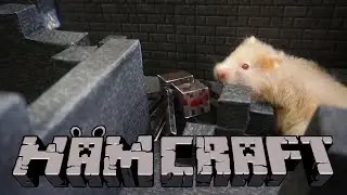 HAMSTER MINECRAFT MAZE/CUTE Hamster Maze
