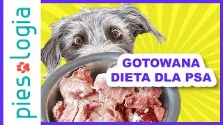 Gotowana dieta dla psa - BACF 🐶🥩👩‍🍳