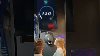 dieses Tier schlägt so stark wie du 💪 🦁