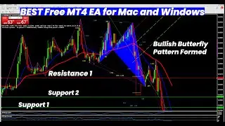 Best Free MT4 EA for Mac and Windows |Support & Resistance | Bullish Butterfly | How to apply them