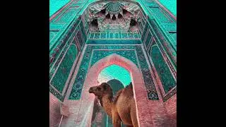 Otabek Salamov - Welcome to Uzbekistan 🌸