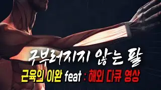 구부러지지 않는 팔의 과학적인 원리 | 해외 영상 추가