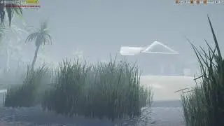 Tropic Storm   Ground Branch