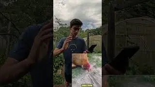 Получилось стать Куриным Властелином?!  #video#shorts #challenge