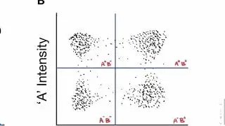 Flow cytometry - Jack Kincaid, 2020