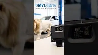🦁 Царь ГБО на страже вашего комфорта!