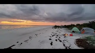 Foraging for Scallops and Camping On A Remote Island in Gulf of Mexico!