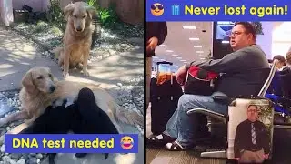 Can’t End the Day Without Memes! 😂 Here’s Your Daily Dose of Laughter! | Happy And Fun
