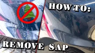 Tree Sap Removal Hacks for a Spotless Car