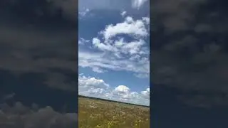 Лето
