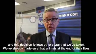 Animal Welfare