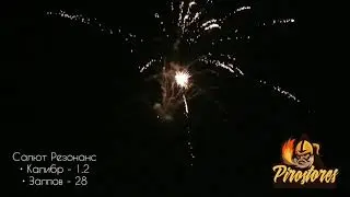 Салют Резонанс 28 крупных залпов