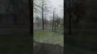Снег и гроза в начале мая в Петербурге / Пушкин не обманул гроза в начале мая есть