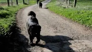 Belana tobt mit ihrer größeren Schwester Amy
