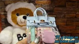QUE TRAIGO EN MI BOLSA EN NOVIEMBRE!!_25