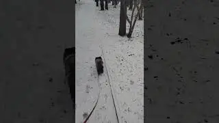 #москва