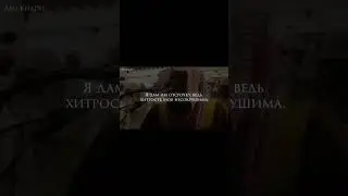 Мухаммад Люхайдан #коран #shortsvideo #аяты #красивоечтениекорана
