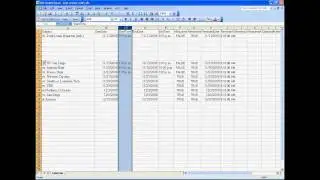 Insert Multiple Rows and Columns